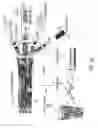 Fig. 07 - SINGLE USE CONTAINER WITH AN INTEGRATED DECORATIVE PATTERN