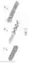 Fig. 24 - SINGLE USE CONTAINER WITH AN INTEGRATED DECORATIVE PATTERN