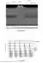 Fig. 22 - Clad aluminum alloy products