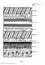 Fig. 05 - Solid-phase composite structure and related methods