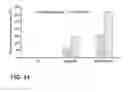 Fig. 09 - Composite article and method of manufacture