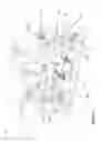 Fig. 05 - Control Assembly