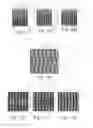Fig. 08 - Secure article comprising a combined image and/or a revelation screen