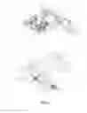 Fig. 05 - Leg-rest for vehicle