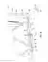 Fig. 07 - Vanity mirror assembly for a vehicle sun visor