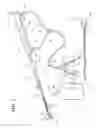 Fig. 03 - BRAKE LINE BLEEDING DEVICE