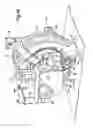 Fig. 11 - Inverted pendulum vehicle