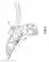 Fig. 05 - Bike brake lever with adjustable sensor device