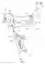 Fig. 04 - Bicycle hydraulic device