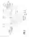 Fig. 07 - Bicycle sprocket