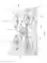 Fig. 09 - Shroud for an aircraft