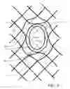 Fig. 08 - Method and apparatus for fabrication of lattice composite fuselage for commercial aircraft employing steered fiber lay up