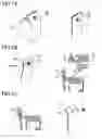 Fig. 08 - Spout assembly and packaging container