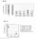 Fig. 09 - Packaging material and packaging container