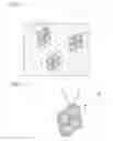 Fig. 02 - METHOD FOR MANUFACTURING WAVELENGTH CONVERSION MEMBER AND WAVELENGTH CONVERSION MEMBER