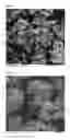 Fig. 02 - METHOD FOR PRODUCING HIGHLY REACTIVE CEMENTS