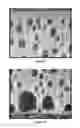 Fig. 07 - SURFACTANT COMPOSITION