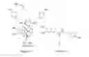 Fig. 02 - Lignanamides and a method of treating neurodegenerative diseases by using the same