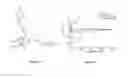 Fig. 06 - Lignanamides and a method of treating neurodegenerative diseases by using the same