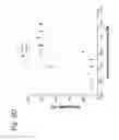 Fig. 06 - Compounds for treating mitochondrial disease