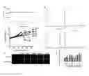 Fig. 01 - COMPOSITIONS AND METHODS FOR ENHANCING ONCOLYTIC VIRUS EFFICACY