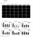 Fig. 05 - COMPOSITIONS AND METHODS FOR ENHANCING ONCOLYTIC VIRUS EFFICACY