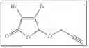 Fig. 15 - COMPOSITIONS AND METHODS FOR ENHANCING ONCOLYTIC VIRUS EFFICACY