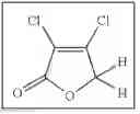 Fig. 22 - COMPOSITIONS AND METHODS FOR ENHANCING ONCOLYTIC VIRUS EFFICACY