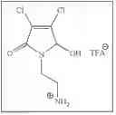 Fig. 47 - COMPOSITIONS AND METHODS FOR ENHANCING ONCOLYTIC VIRUS EFFICACY