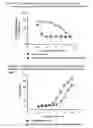 Fig. 03 - ETHYLENE GLYCOL ETHER OF BUPRENORPHINE