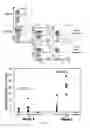 Fig. 02 - Engineering Antiviral T Cell Immunity through Stem Cells and Chimeric Antigen Receptors