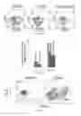Fig. 07 - Engineering Antiviral T Cell Immunity through Stem Cells and Chimeric Antigen Receptors
