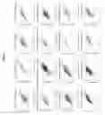 Fig. 09 - HIDE1 COMPOSITIONS AND METHODS