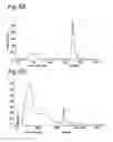 Fig. 22 - Antigen-Binding Protein Directed Against Epitope in the CH1 Domain of Human IgG Antibodies