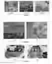Fig. 02 - Humins-containing foam