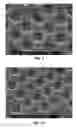 Fig. 07 - Imprinting ink composition, imprinting method, optical element lighting device, optical sensor and photovoltaic device