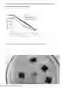 Fig. 02 - Preparation and applications of biocompatible conductive inks based on cellulose nanofibrils for 3D printing of conductive biomedical devices and for use as models for study of neurodegenerative disorders and connection between brain/neurons and communication or other electronic devices