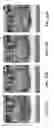 Fig. 45 - Methods and applications for conductive graphene inks