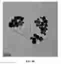 Fig. 49 - Methods and applications for conductive graphene inks
