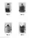 Fig. 02 - METHODS OF PRESERVING A MICROALGAE BIOMASS AND A PRESERVED MICROALGAE BIOMASS