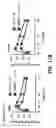 Fig. 35 - Pharmaceutical composition for preventing and treating metabolic disease comprising MKRN1 expression or activity inhibitor as an active ingredient