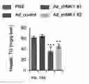 Fig. 49 - Pharmaceutical composition for preventing and treating metabolic disease comprising MKRN1 expression or activity inhibitor as an active ingredient