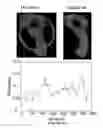Fig. 07 - TARGETING MINIVECTORS TO SPECIFIC TISSUE USING SHAPE