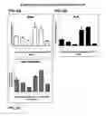 Fig. 07 - CONSTRUCTS FOR GENE EXPRESSION ANALYSIS