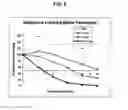 Fig. 09 - CONSTRUCTS FOR GENE EXPRESSION ANALYSIS