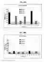 Fig. 22 - CONSTRUCTS FOR GENE EXPRESSION ANALYSIS