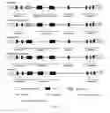 Fig. 02 - Method for simultaneous sequence-based typing of 14 functional killer cell immunoglobulin-like receptor (KIR) genes