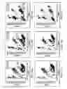 Fig. 07 - Multiallelic Genotyping of Single Nucleotide Polymorphisms and Indels