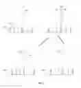 Fig. 05 - Compositions and methods for improving sample identification in indexed nucleic acid libraries