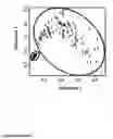 Fig. 06 - Methods of diagnosing bladder cancer